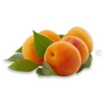 Apricot