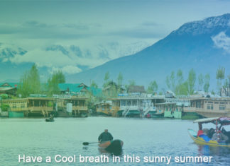 Have a Cool breath in this sunny summer