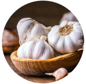 garlic