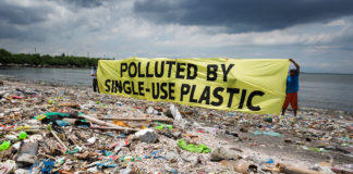 Endangering Plastic pollution threat The Hazard
