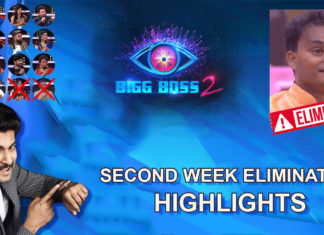 Bigg Boss 2 Telugu Season Second Week Elimination
