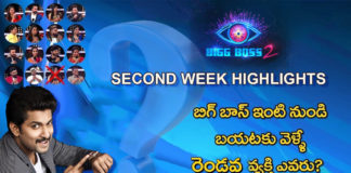 Nani’s Bigg Boss 2 Telugu Second Week Highlights