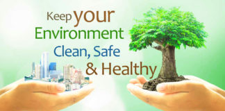 What effects can the Environment have on Health?