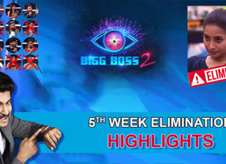 Bigg Boss 2 Telugu 5th week Elimination/Highlights