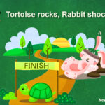 Tortoise rocks - Rabbit shocks!