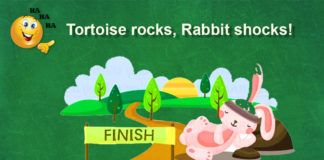 tortoise and rabbit story girgitnews girgitnews