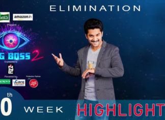 Bigg Boss 2 Telugu 10th week highlights/Elimination