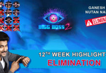 Bigg Boss 2 Telugu 12th Week Elimination Highlights