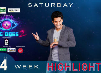 Bigg Boss 2 Telugu 14th week highlights