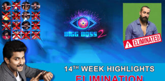 Bigg Boss 2 telugu 14th week elimination highlights