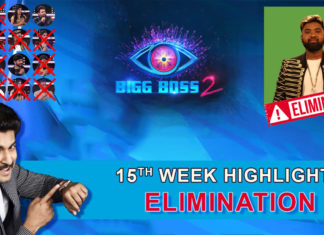 Bigg Boss 2 telugu 15th week elimination highlights