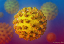 What is a coronavirus History of coronavirus Types of coronavirus