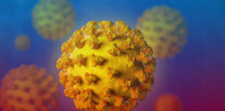 What is a coronavirus History of coronavirus Types of coronavirus